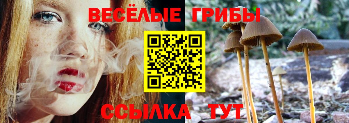 Псилоцибиновые грибы Cubensis  Вход с VPN  Белорецк 